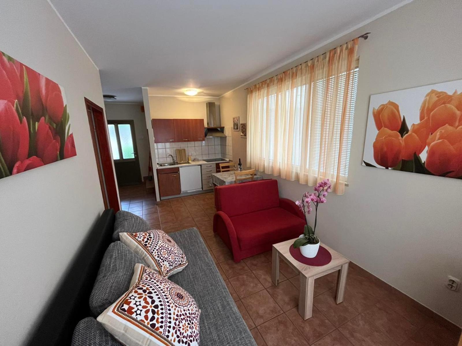 Family Apartments Suzi 罗维尼 外观 照片