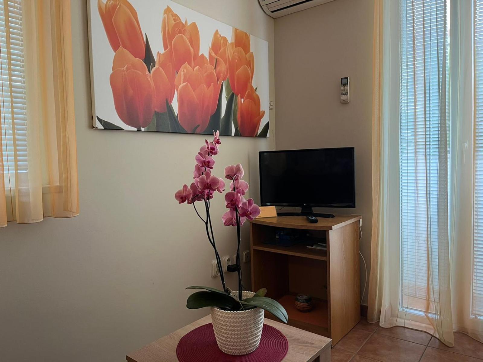 Family Apartments Suzi 罗维尼 外观 照片